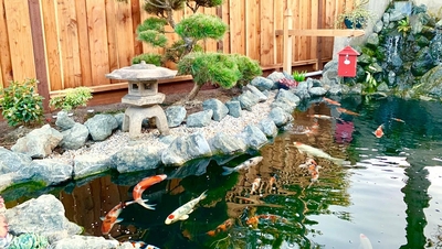 Image Anh D Vu uses Ultimate Koi Clay